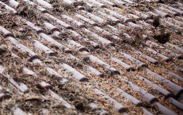 Little Bridgeford roof cleaning companies